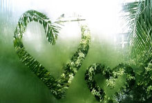 历史不容篡改：南京大屠杀的永恒记忆